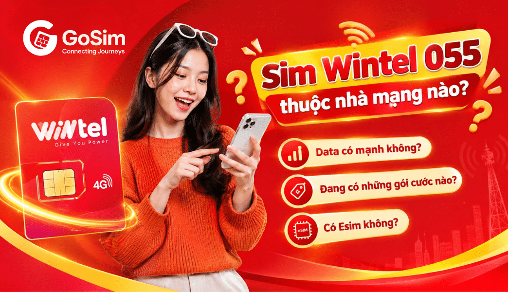 esim-sim-wintel-la-gi